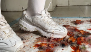 萌棠斯凯奇金鱼画-97LZTD-8343095