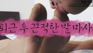 HAN-199 美脚少妇肉丝-97LZTD-834541452