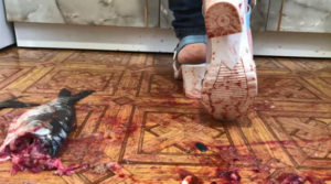 1469 - 大胸女孩牛仔裤粗跟凉鞋插踩碾踩爆大鱼-97LZTD-83454157174516185021112914