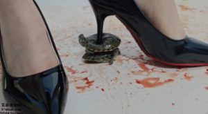 【灵ling】灵欢小公主2双鞋不同方法玩虐小乌龟（超多语言）-97LZTDGXFC-000003132702659