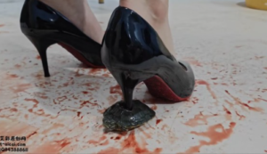 【灵ling】灵欢小公主2双鞋不同方法玩虐小乌龟（超多语言）-97LZTDGXFC-000003132702659