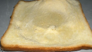 【GTS-KK酱】人类皆为蝼蚁3-97LZTDGXFC-000003132702692