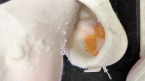 米饭板鞋户外-97LZTDGXFC-000003132702727