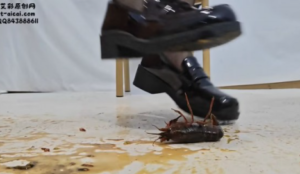 【灵ling】灵欢公主可爱JK+黑丝小皮鞋小龙虾大屠杀计划-97LZTDGXFC-000003132702786