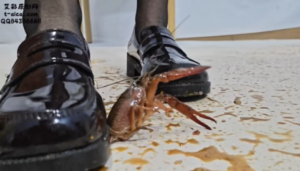 【灵ling】灵欢公主可爱JK+黑丝小皮鞋小龙虾大屠杀计划-97LZTDGXFC-000003132702786