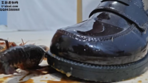 【灵ling】灵欢公主可爱JK+黑丝小皮鞋小龙虾大屠杀计划-97LZTDGXFC-000003132702786