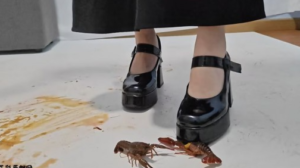 【灵ling】气质女神灵颖长裙玛丽珍虐踩小龙虾-97LZTDGXFC-000003132702820