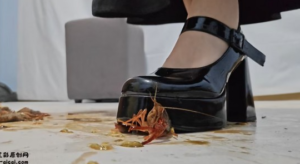 【灵ling】气质女神灵颖长裙玛丽珍虐踩小龙虾-97LZTDGXFC-000003132702820