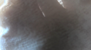 CaiR0001c 小萱1.68大长腿帆布鞋走踩碾踩Crush娃娃 将你肉体灵魂踩脚下-97LZTDGXFC-000003132702854