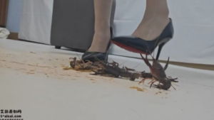 【灵ling】灵欢小公主JK高跟踩面包夹心+处刑小龙虾-97LZTDGXFC-000003132703006