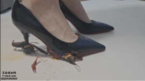 【灵ling】灵欢小公主JK高跟踩面包夹心+处刑小龙虾-97LZTDGXFC-000003132703006