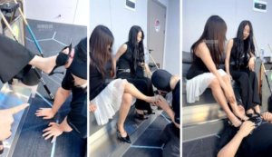 【猫猫】带狗开发台球助教【双视角版】-97LZTDGXFC-000003132703021