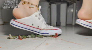 纯儿肉丝踩脚匡威全体重踩喷小乌龟-97LZTDGXFC-000003132703066