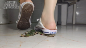纯儿肉丝踩脚匡威全体重踩喷小乌龟-97LZTDGXFC-000003132703066