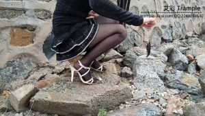 滅除入侵物种計劃（3）