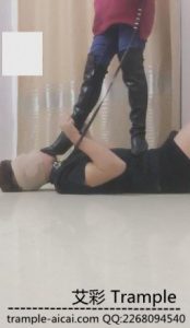 君主大大长靴短靴各种虐狗