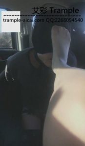 微微第一意境车内调教臭傻逼