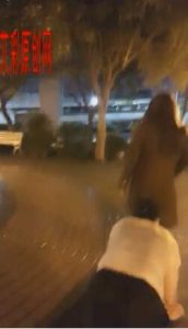 女主公园长椅调贱狗