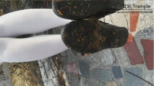 芷君公主鞋踩蝎子蜘蛛和面包虫