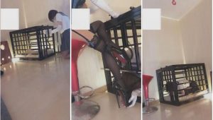 公主%，笼中饲养小奴