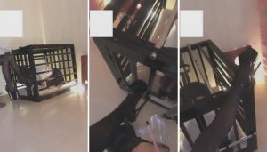 公主%，笼中饲养小奴